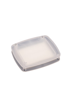 Insect Monitor Transparente