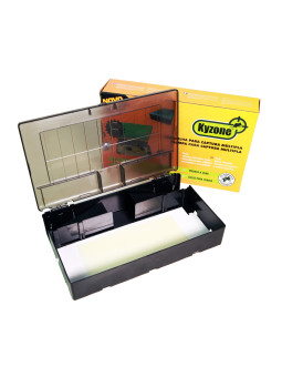 Plastic Multiple Catch Trap...
